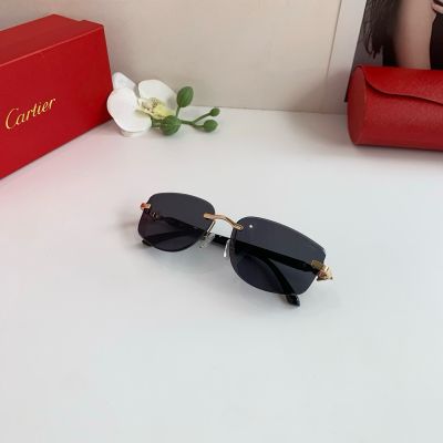 Cartier Black  Unisex Pure Titanium Eyeglasses 